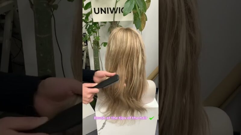 Wig 101 How to Brush Human Hair Wig