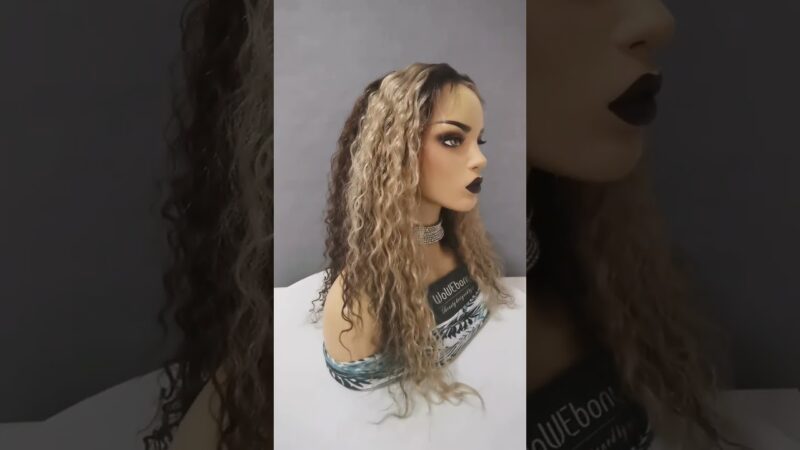 highlight curly silk top full lace wig for you, to step out and popping in crowd #nicewigs #shorts